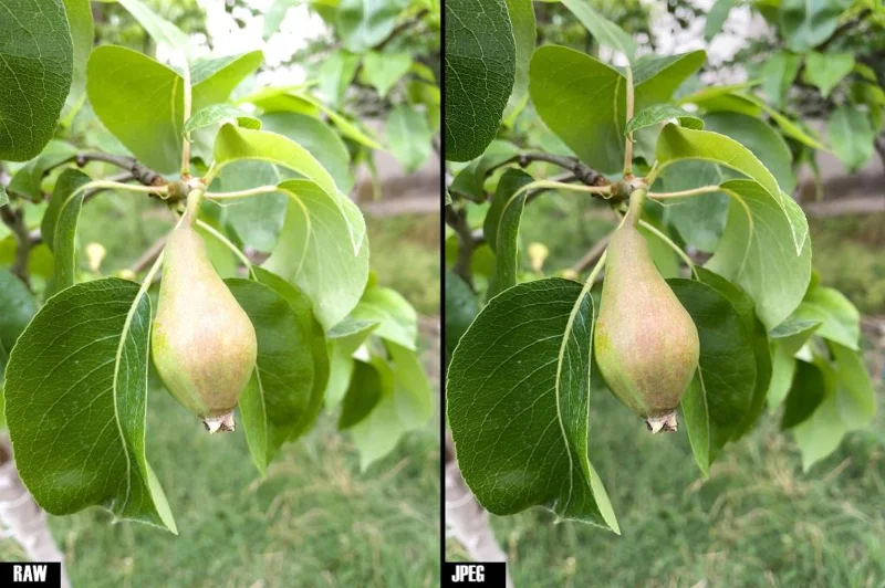 Tingkatkan foto iPhone anda dengan Halide dan RAW (DNG)