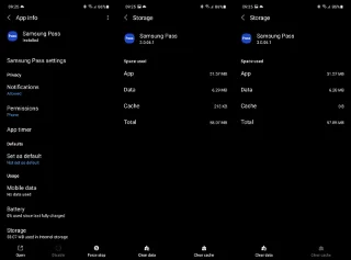 Samsung Pass non funziona? Ecco come risolverlo