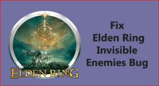 PC에서 Elden Ring 보이지 않는 적 수정 [11가지 트릭]