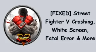 [수정됨] Street Fighter V 충돌, 흰색 화면, 치명적인 오류 등