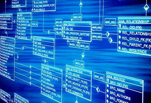The Most Popular Programs for Managing Databases
