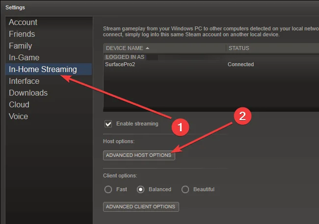 Opciones de transmisión en Steam