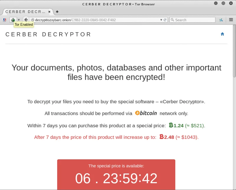Explicado: tipos y variantes de ransomware