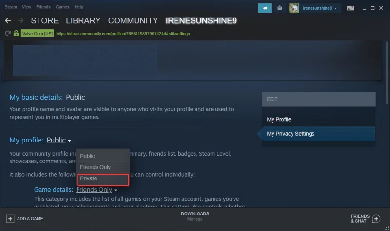 [Panduan Utama] Bagaimana Untuk Menyembunyikan Aktiviti Permainan Di Steam Daripada Rakan?
