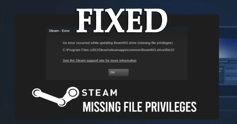 [PANDUAN LENGKAP] Bagaimana untuk Membetulkan Ralat Keistimewaan Fail Hilang Steam?