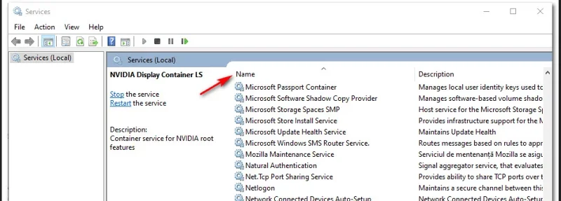 Pengalaman GeForce 'C++ Runtime Error' [DIBETULKAN]