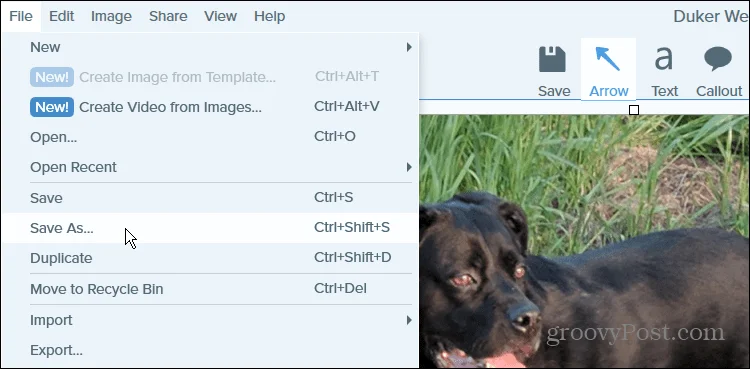 Cara Menukar PNG kepada JPG pada Windows 11