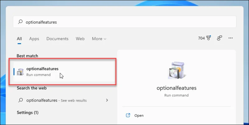 Activating .NET Framework