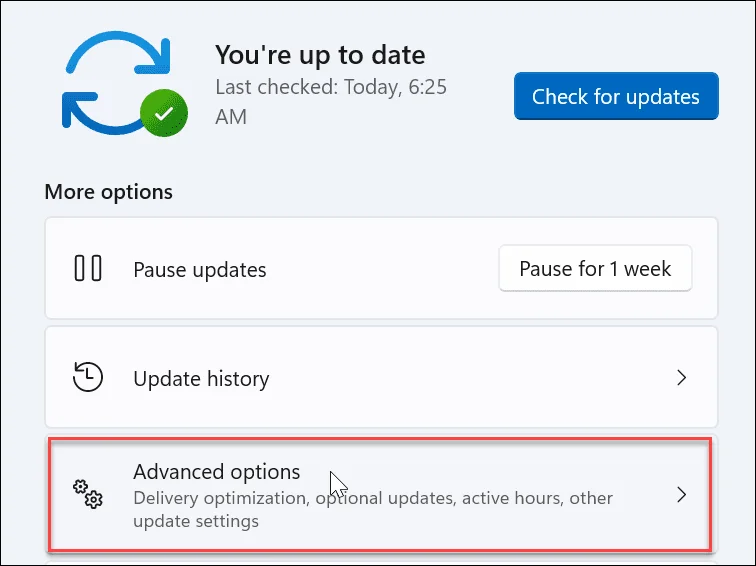Cómo deshabilitar la optimización de entrega en Windows 11