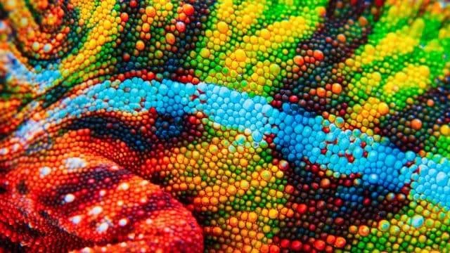 Cara Menentukur Warna Monitor Anda dalam Windows 10