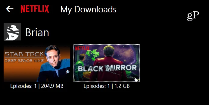 Muat turun Filem dan TV Netflix pada Windows 10 untuk Menonton Luar Talian