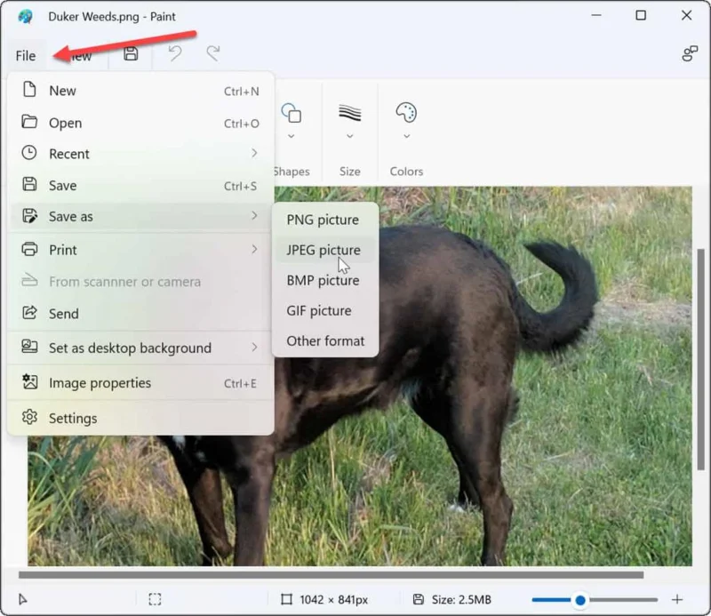 Cara Menukar PNG kepada JPG pada Windows 11