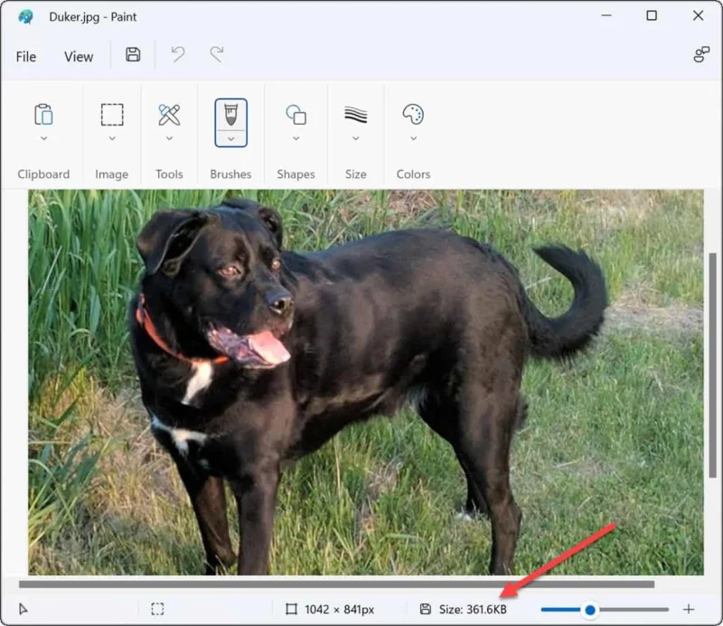 Cara Menukar PNG kepada JPG pada Windows 11