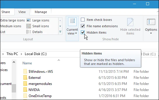 Cara Menunjukkan Fail dan Folder Tersembunyi dalam Windows 10