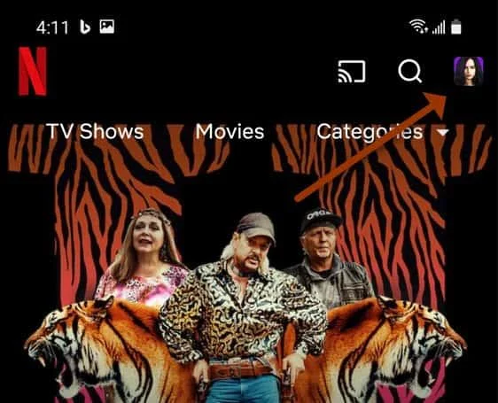 Cómo cambiar el idioma en Netflix