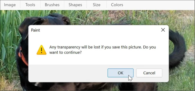 Cara Menukar PNG kepada JPG pada Windows 11