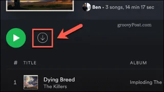 Spotify non riesce a riprodurre la canzone corrente?  Come risolvere