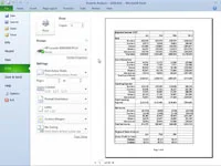 Seitenvorschau in der Backstage-Ansicht von Excel 2010