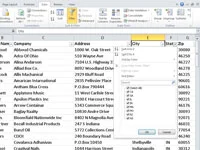 So filtern Sie Datensätze in einer Excel 2010-Tabelle mit AutoFilter
