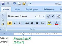 So ändern Sie die Groß-/Kleinschreibung Ihres Textes in Word 2007