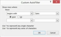 Como usar o filtro automático personalizado em uma tabela do Excel