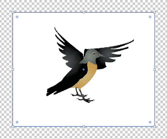 Como aplicar transparência a SVGs