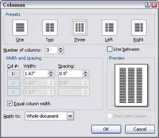 So entfernen Sie das Spaltenformat in Word 2007