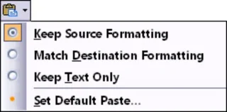 Cómo usar las opciones de pegado y Pegado especial en Word 2007