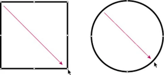 Ferramentas básicas de formas do Adobe CS5 Illustrator