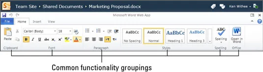 Funktionen der Word Web App-Schnittstelle