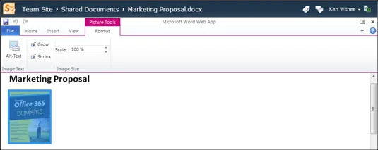 Recursos da interface do Word Web App