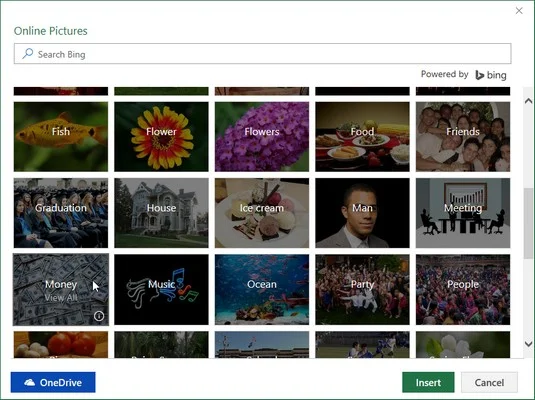 So fügen Sie Online-Bilder in Ihr Excel 2019-Blatt ein