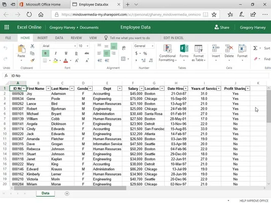 So bearbeiten Sie in Excel Online