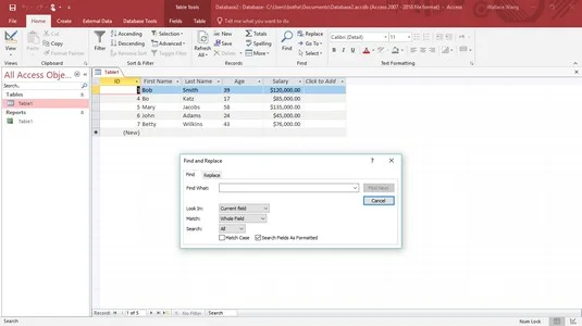 So durchsuchen und filtern Sie eine Access 2019-Datenbank
