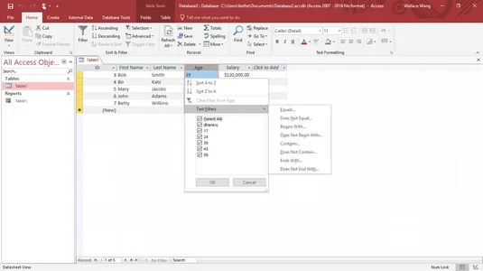 So durchsuchen und filtern Sie eine Access 2019-Datenbank