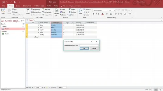 So durchsuchen und filtern Sie eine Access 2019-Datenbank