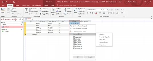 So durchsuchen und filtern Sie eine Access 2019-Datenbank