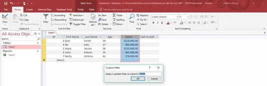 So durchsuchen und filtern Sie eine Access 2019-Datenbank