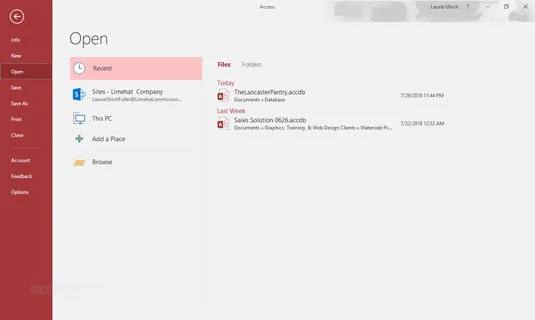 Como o Access 2019 funciona e como você trabalha com ele
