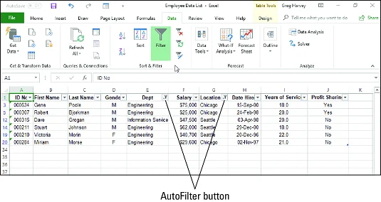 So verwenden Sie AutoFilter in Excel 2019