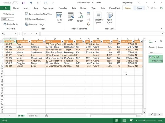 Transformieren einer Datenabfrage im Power Query-Editor in Excel 2019