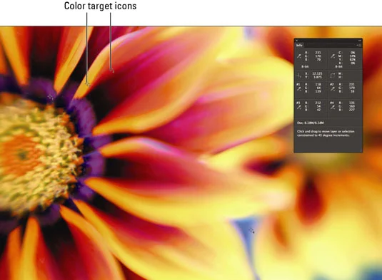 Comment utiliser loutil Color Sampler dans Photoshop CS6