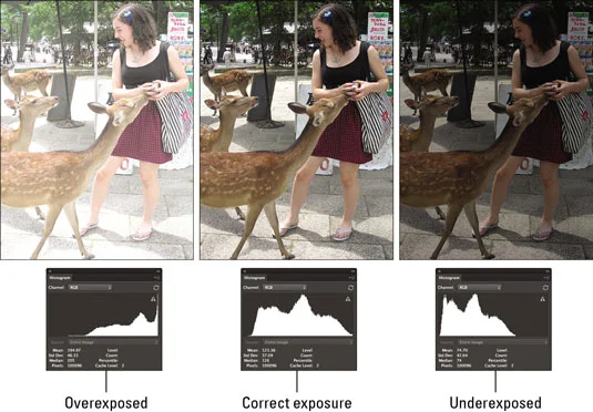 Comment utiliser le panneau Histogramme dans Photoshop CS6