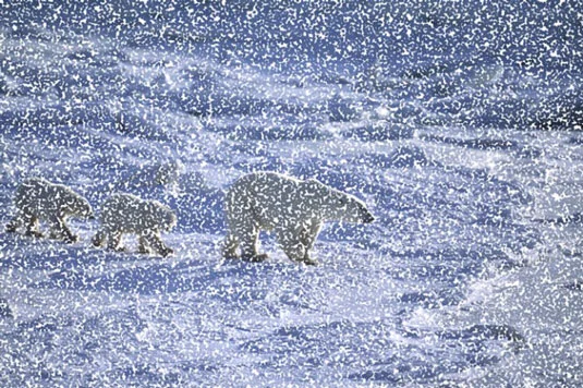 Comment créer de la neige et de la pluie dans Photoshop CS6