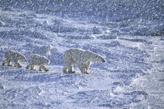 Comment créer de la neige et de la pluie dans Photoshop CS6
