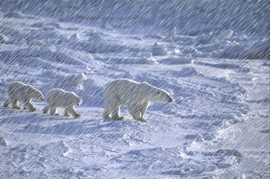 Comment créer de la neige et de la pluie dans Photoshop CS6