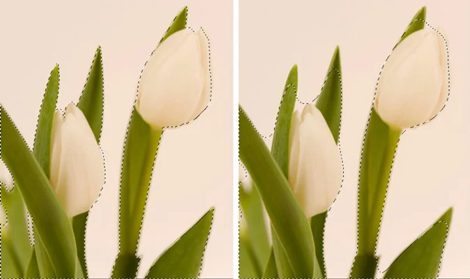 Comment plumer une sélection à laide du clavier dans Photoshop CS6