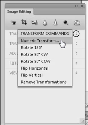 Como dimensionar imagens no Adobe Fireworks CS6