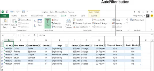 Die AutoFilter-Funktion von Excel 2013
