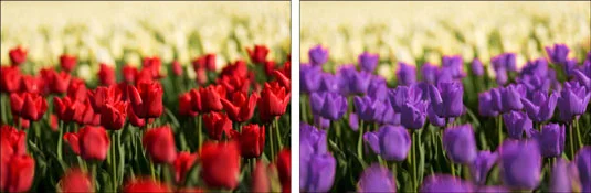 Comment changer de couleur avec Remplacer la couleur dans Photoshop CS6